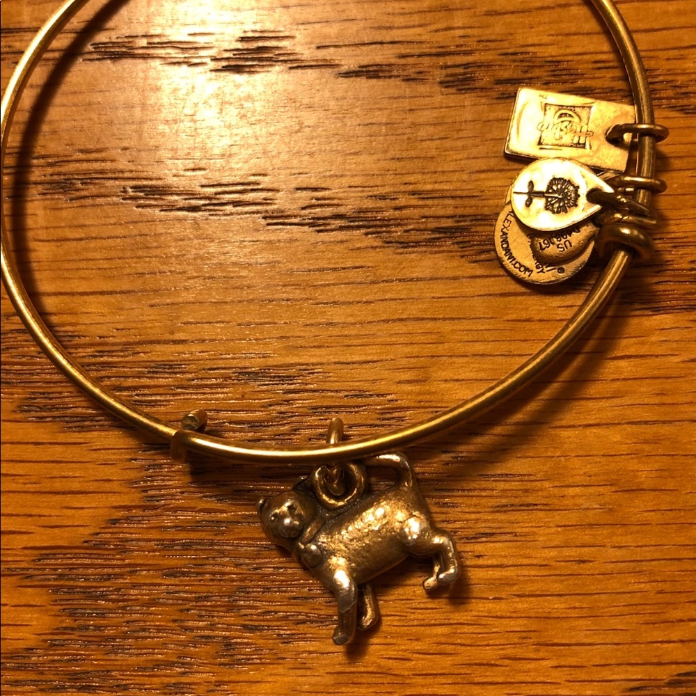 Alex & Ani Cat Bracelet